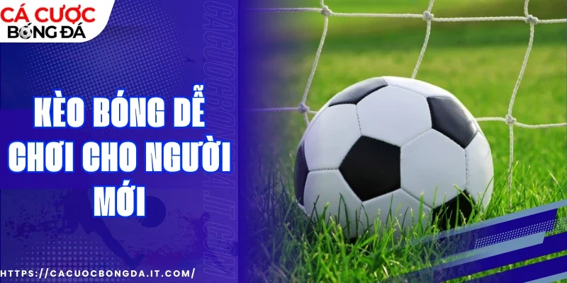 Bí kíp bắt kèo ăn tiền chắc thắng từ chuyên gia