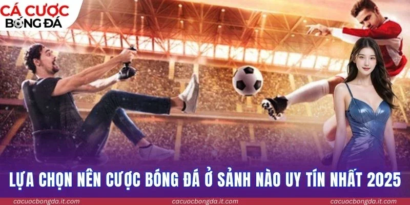 Lựa chọn nên cược bóng đá ở sảnh nào uy tín nhất 2025