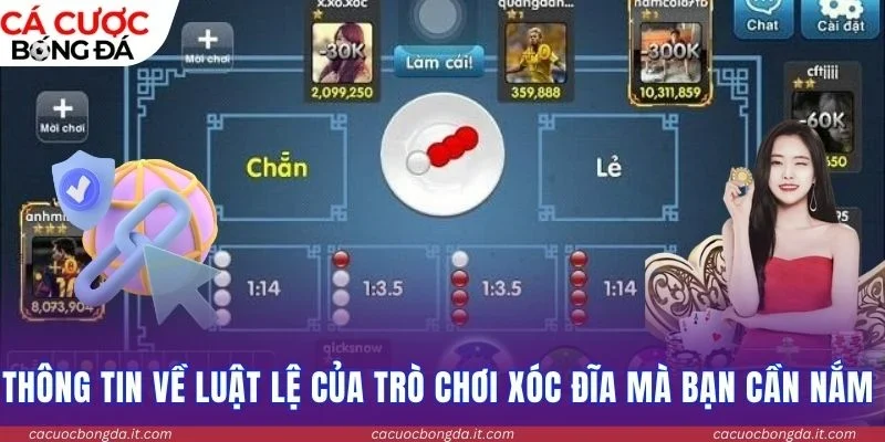 Thông tin về luật lệ của trò chơi xóc đĩa mà bạn cần nắm 