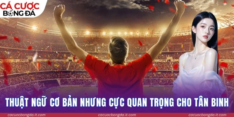 Thuật ngữ cơ bản nhưng cực quan trọng cho tân binh