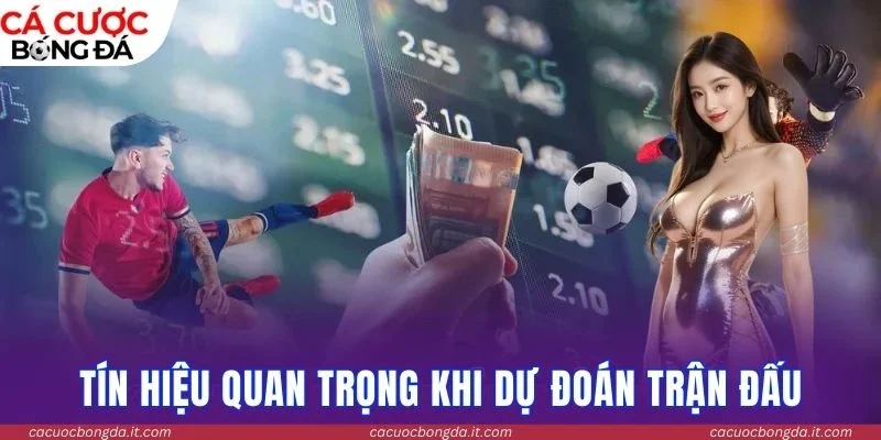 Tín hiệu quan trọng khi dự đoán trận đấu