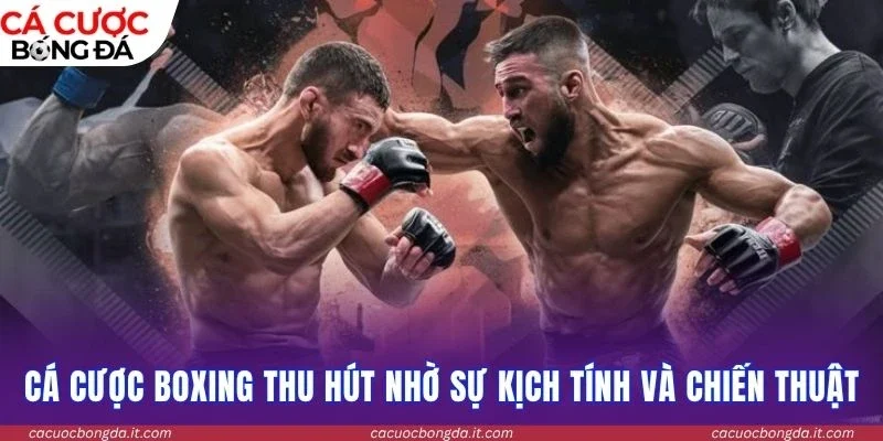 Cá cược boxing thu hút nhờ sự kịch tính và chiến thuật