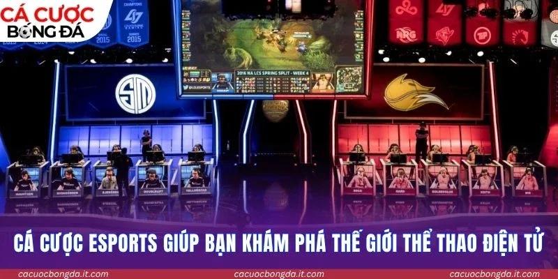 Cá cược thể thao điện tử giúp bạn khám phá thế giới thể thao điện tử