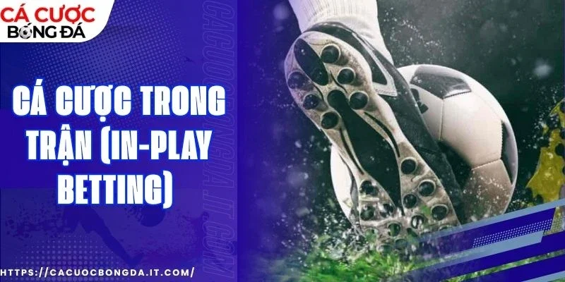 Đặt kèo cho đội chiếm thế thượng phong trong trận