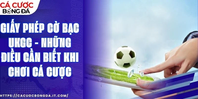 Những thứ newbie nên tìm hiểu khi trải nghiệm bet online