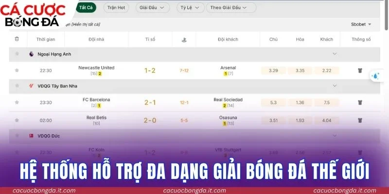 Hệ thống hỗ trợ đa dạng giải bóng đá thế giới