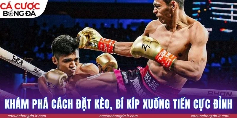 Khám phá cách đặt kèo, bí kíp xuống tiền cực đỉnh