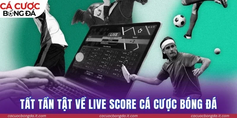Tất tần tật về Live Score Cá Cược Bóng Đá