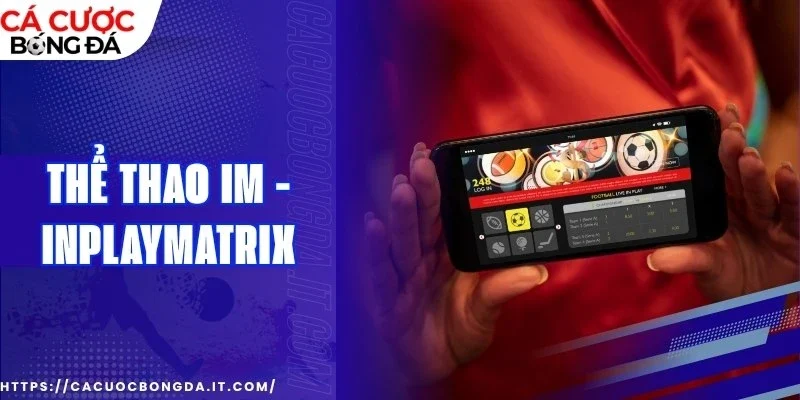 Theo dõi momentum giúp bạn dự đoán diễn biến chính xác