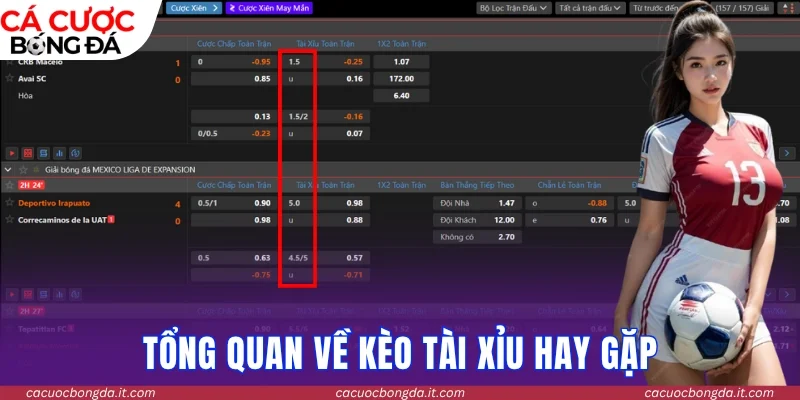 Tổng quan về dạng kèo tài xỉu hay gặp