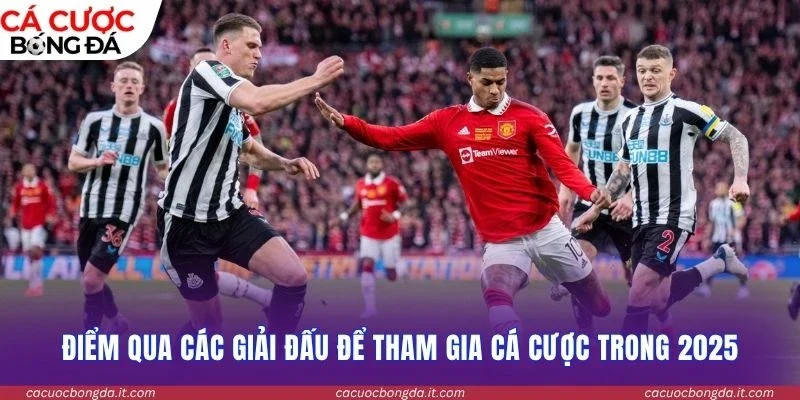 Điểm qua các giải đấu để tham gia cá cược trong 2026