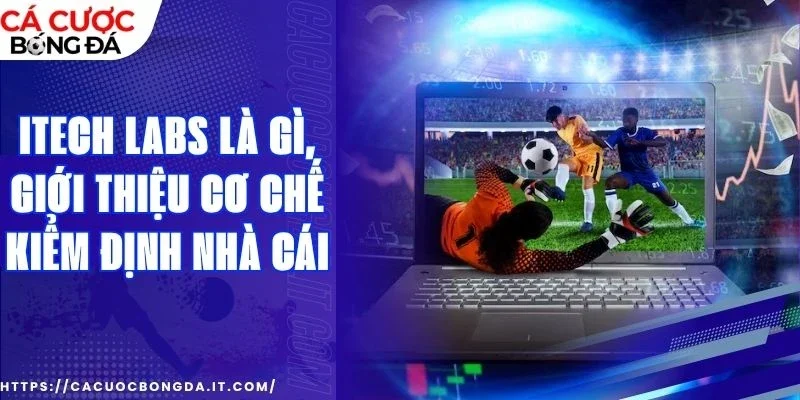 Tầm quan trọng của chứng chỉ tổ chức online