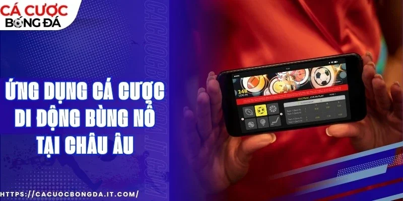 Ưu điểm then chốt của ứng dụng cá cược 
