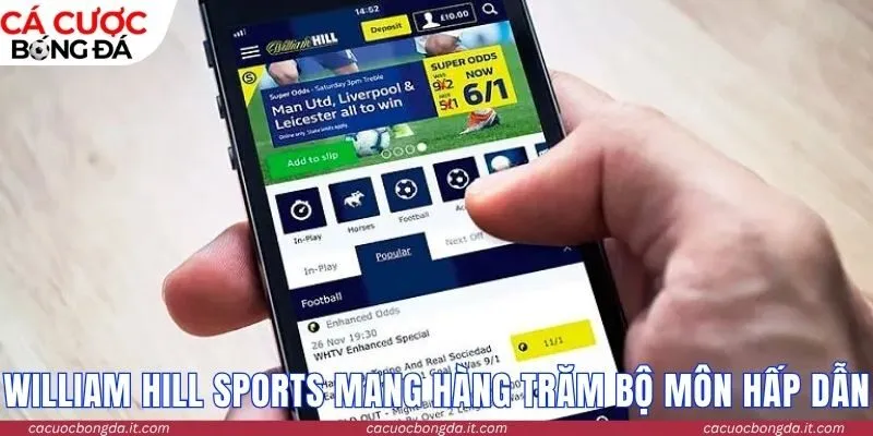 William Hill Sports mang đến hàng trăm bộ môn hấp dẫn